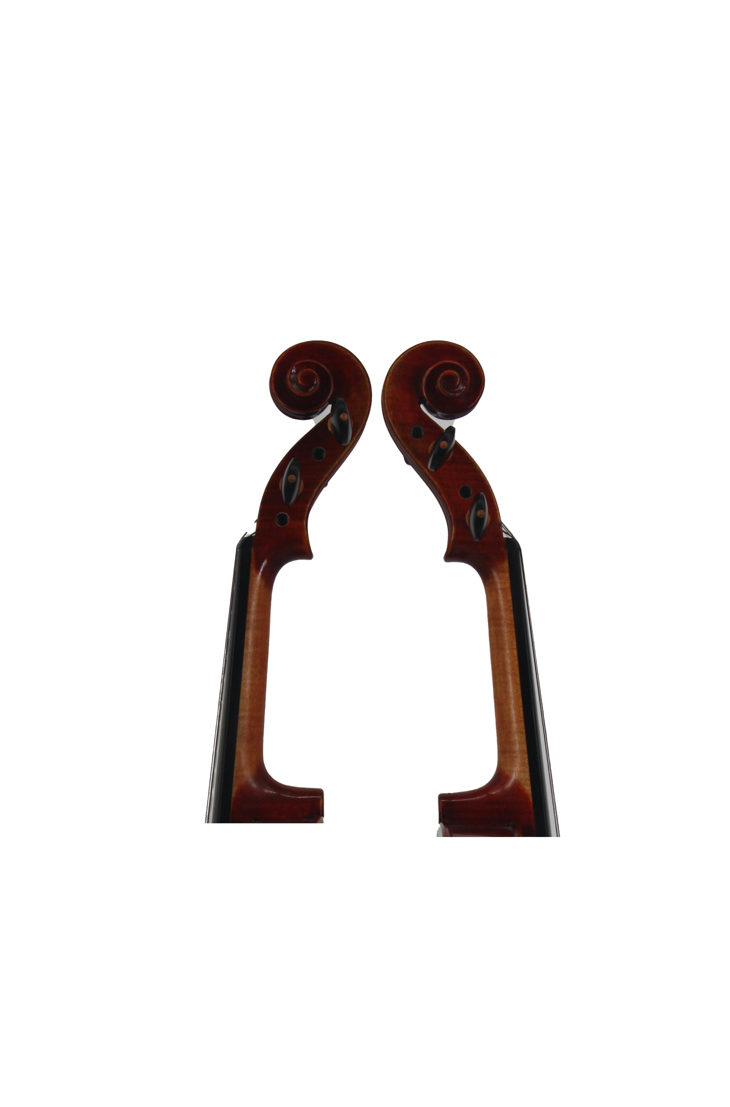 Violin Select - Model 4