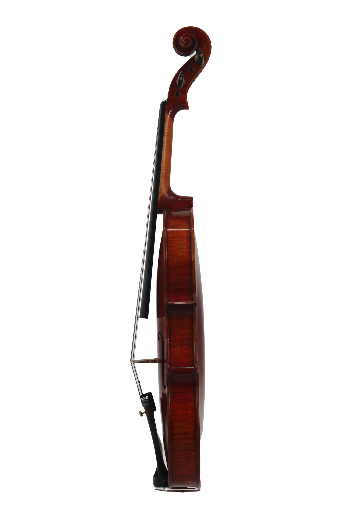 Violin Select - Model 4