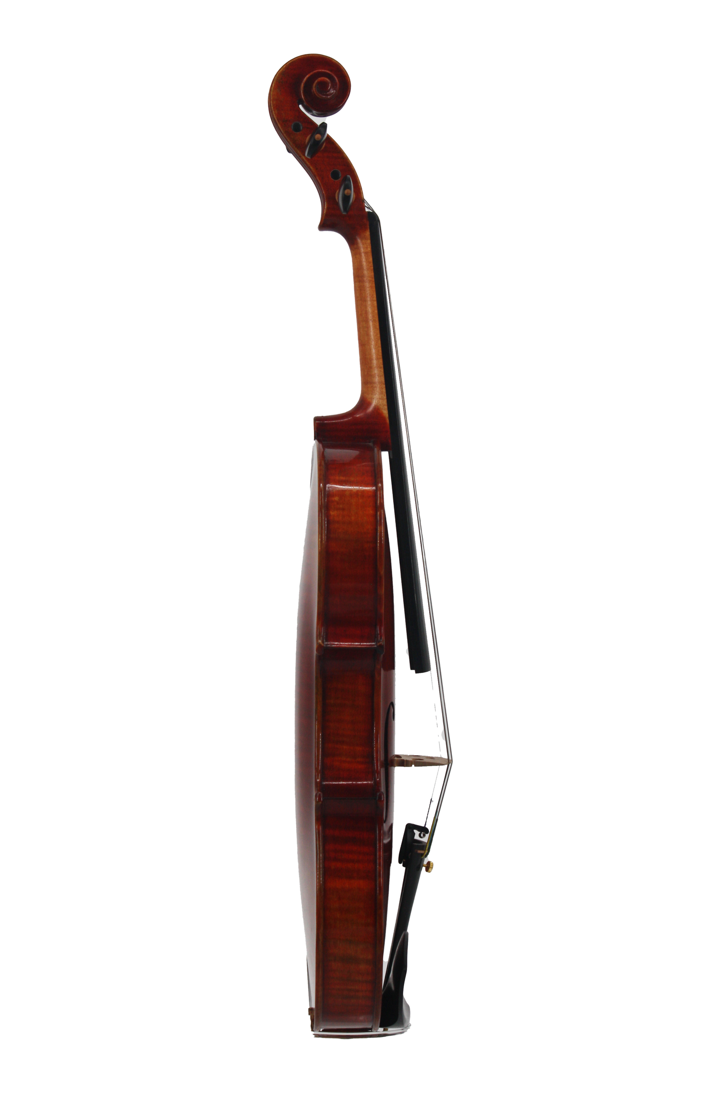 Violin Select - Model 4