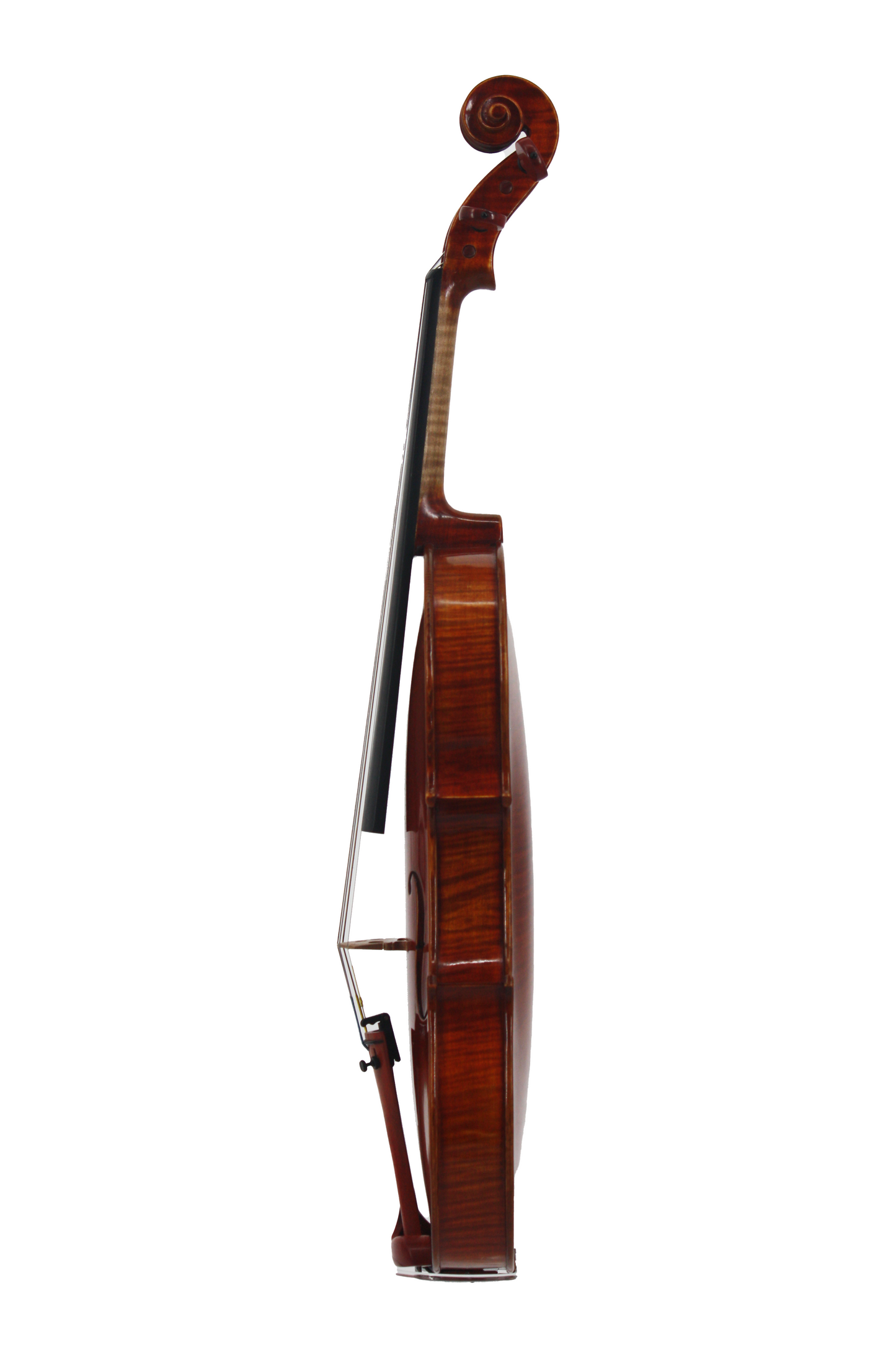 Violin Select - Model 2