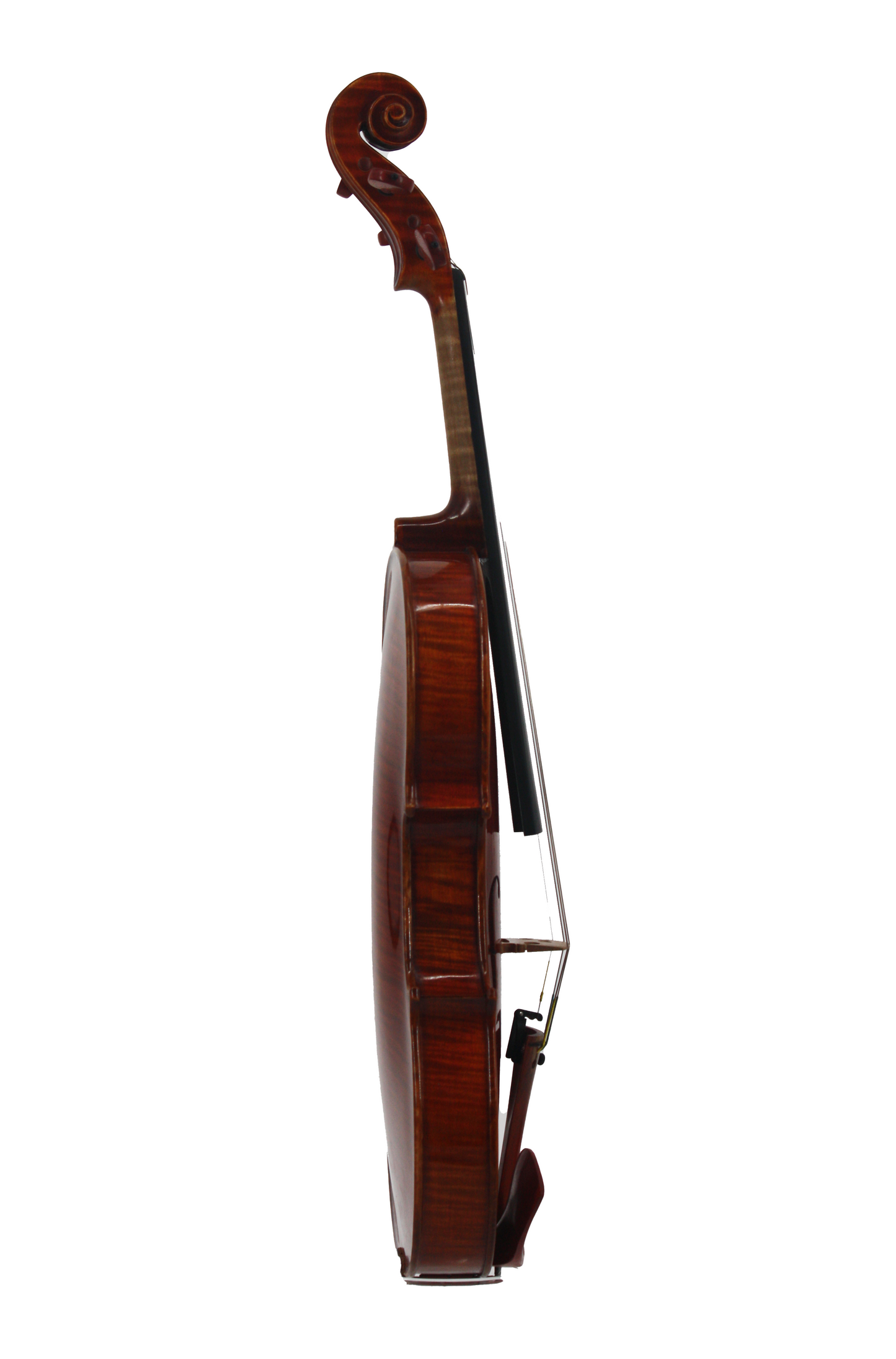 Violin Select - Model 2