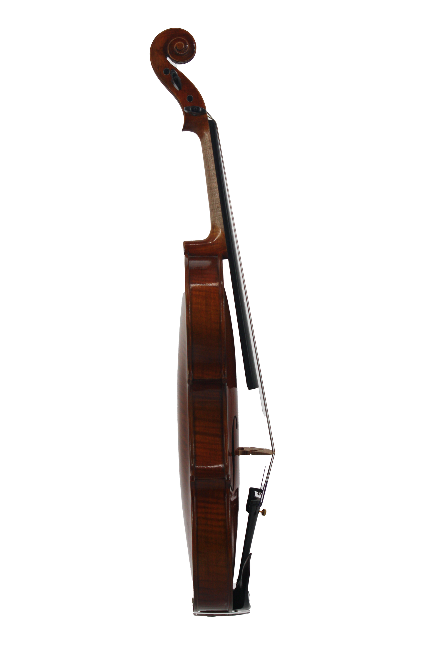 Violin Select - Model 3