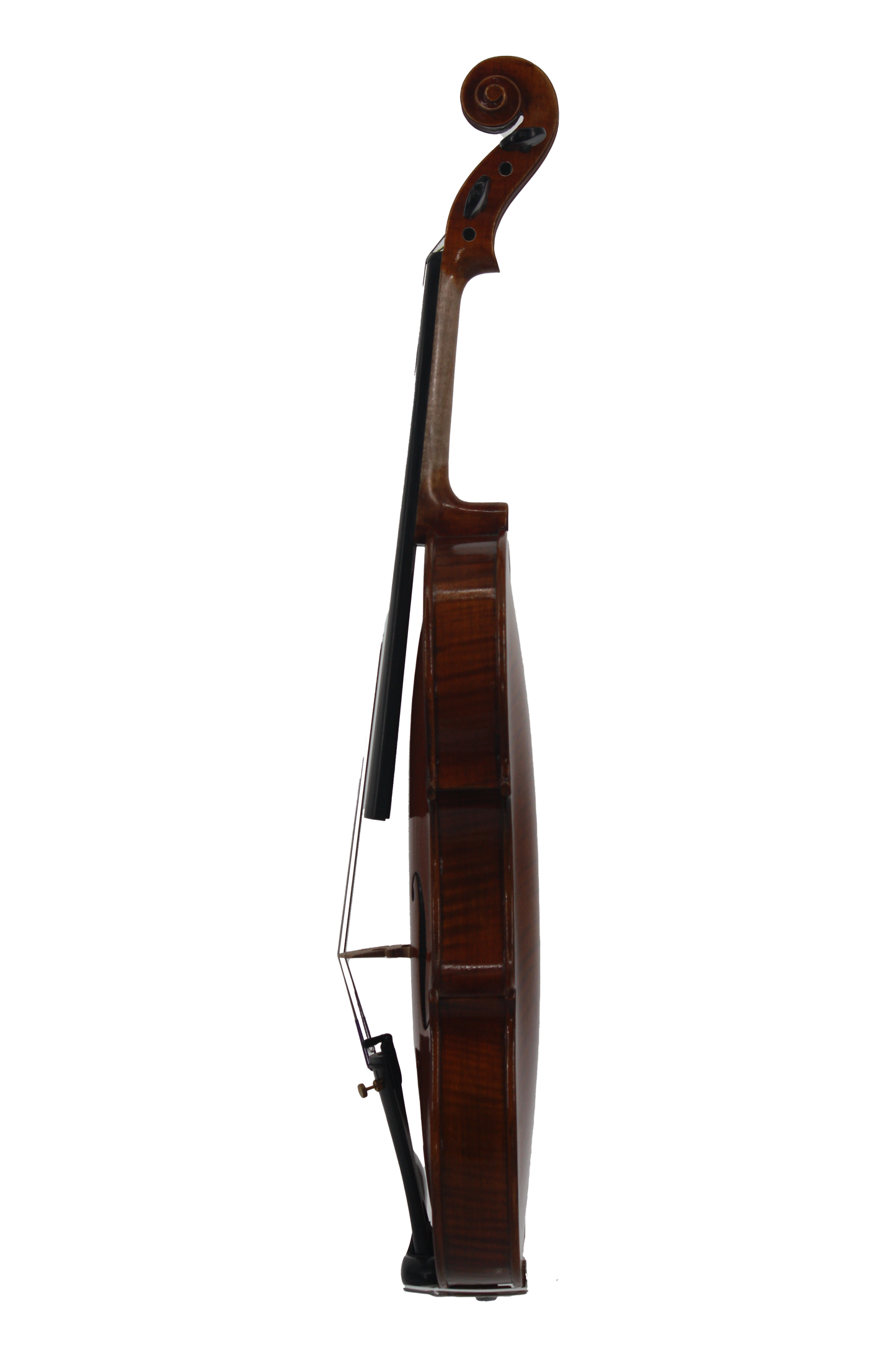 Violin Select - Model 3